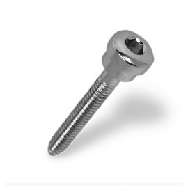 DHS screw, length 100 mm, stainless steel