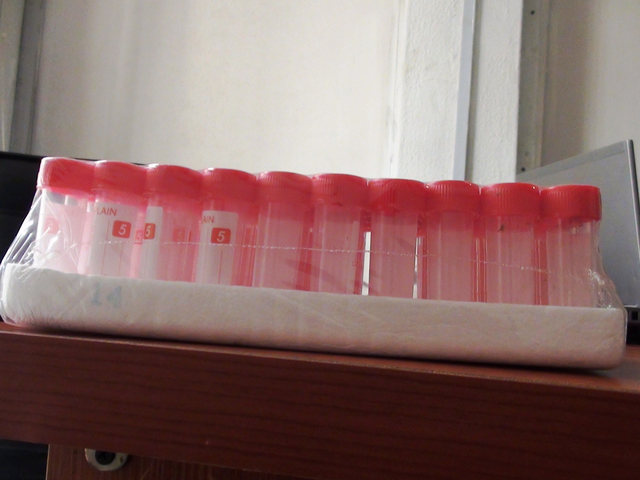 Plain Blood Bottle x50